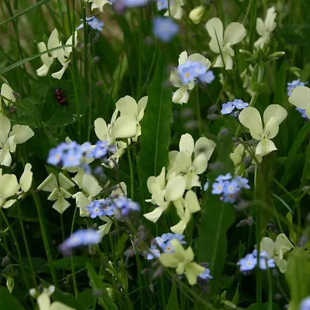La Guinza - Pool & Relax Feriegård *