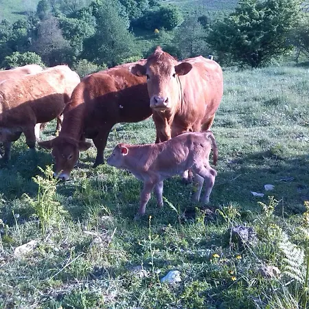 La Guinza - Pool & Relax * Arcidosso