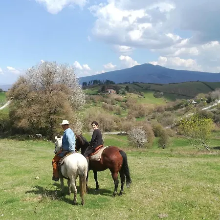Feriegård La Guinza - Pool & Relax