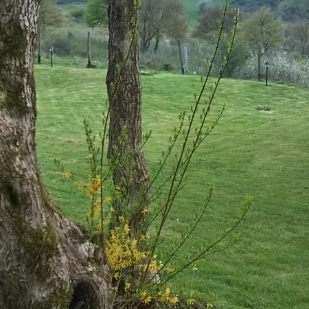 La Guinza - Pool & Relax Feriegård