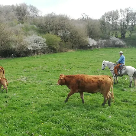 La Guinza - Pool & Relax Feriegård Arcidosso