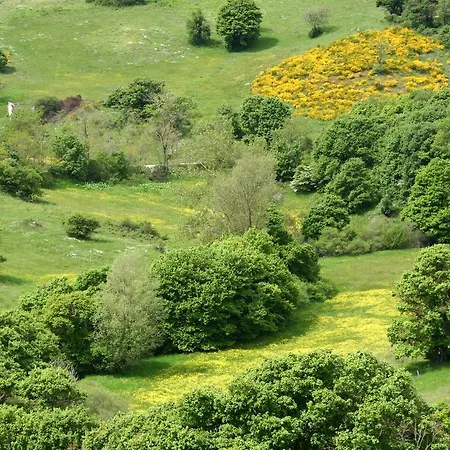 La Guinza - Pool & Relax