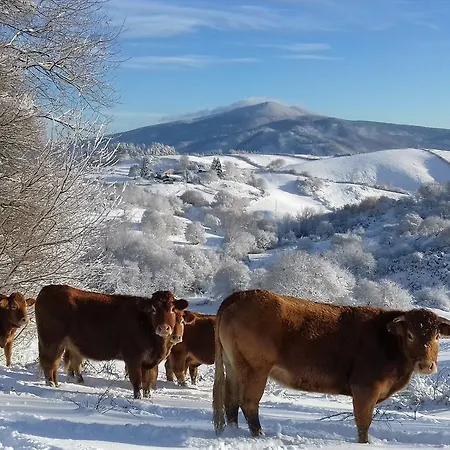 Feriegård La Guinza - Pool & Relax *