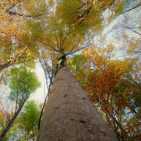 Feriegård La Guinza - Pool & Relax