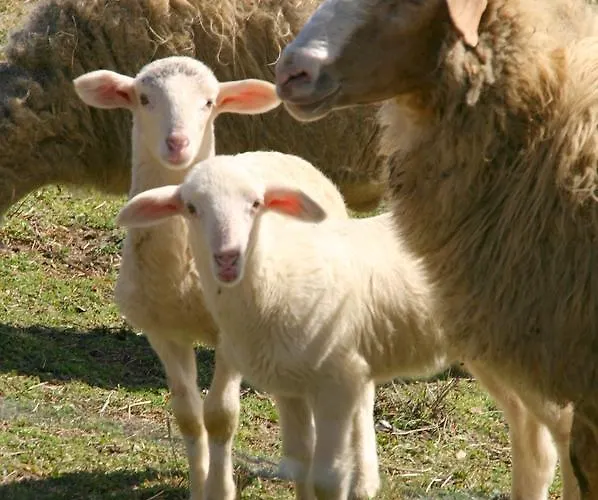 Çiftlik konaklama La Guinza - Pool & Relax Arcidosso