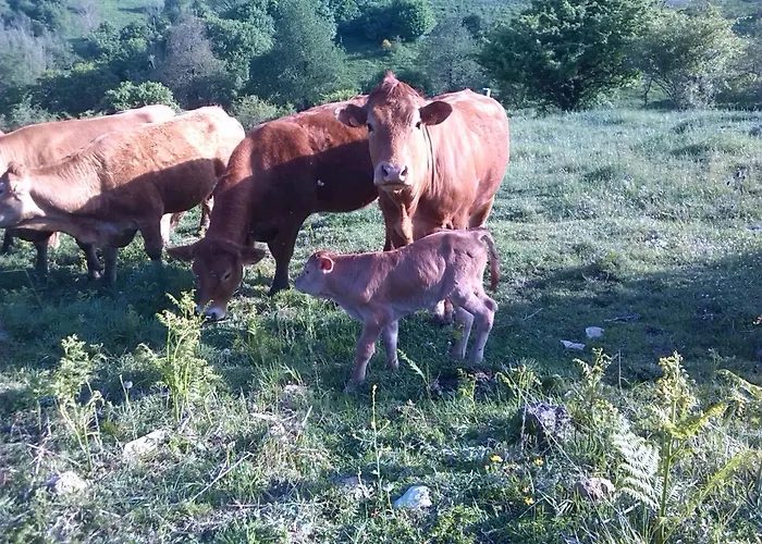 La Guinza - Pool & Relax * Arcidosso