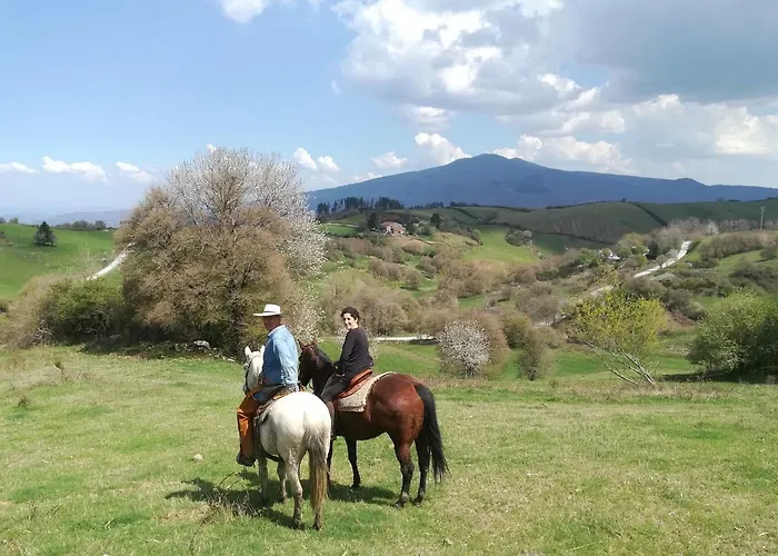 Çiftlik konaklama La Guinza - Pool & Relax
