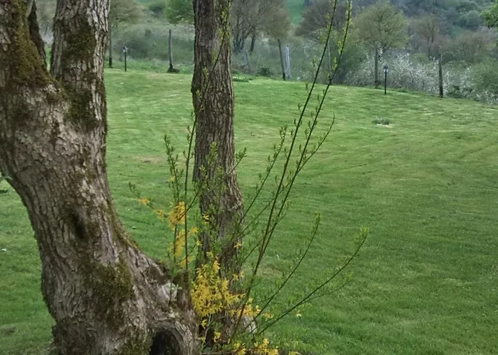 La Guinza - Pool & Relax Çiftlik konaklama