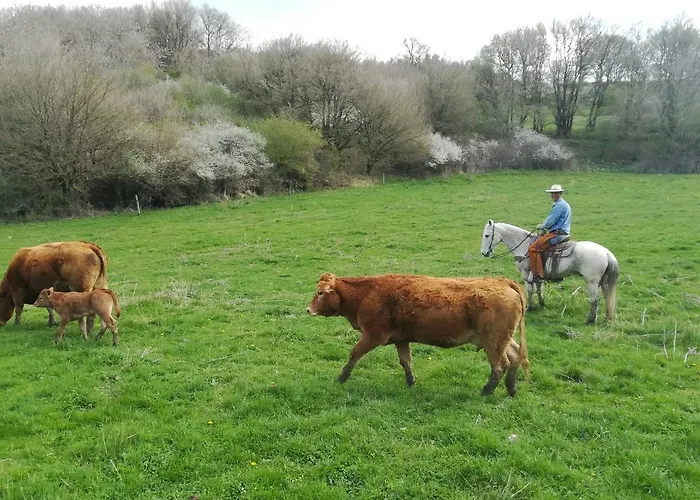 La Guinza - Pool & Relax Çiftlik konaklama Arcidosso