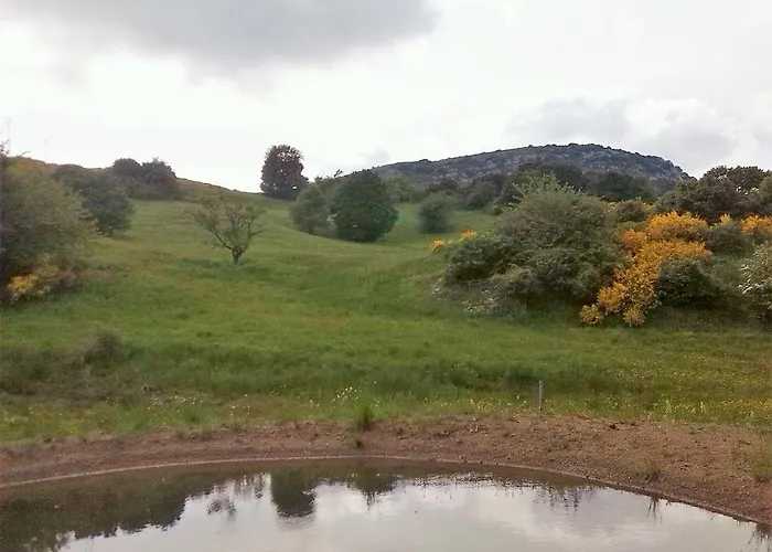 La Guinza - Pool & Relax * Arcidosso