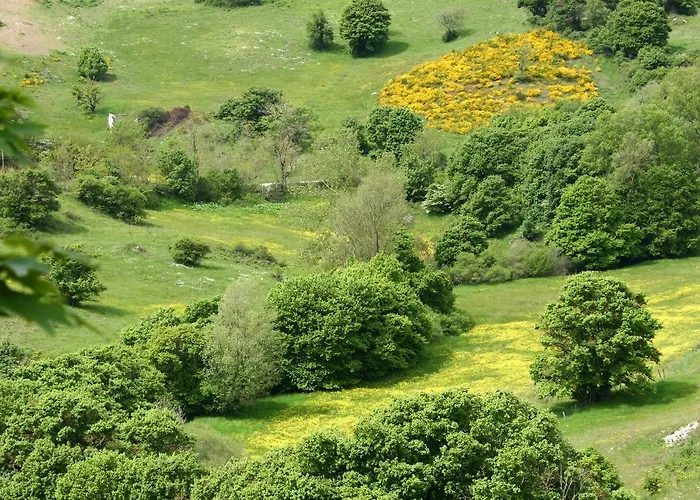 La Guinza - Pool & Relax