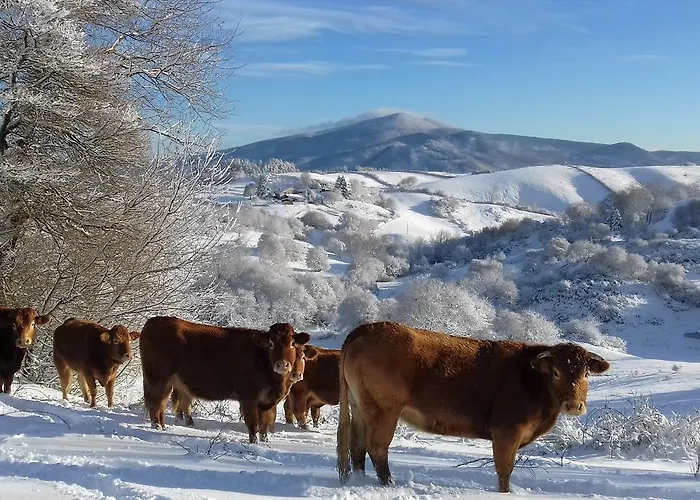 Çiftlik konaklama La Guinza - Pool & Relax *