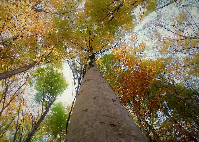 Çiftlik konaklama La Guinza - Pool & Relax